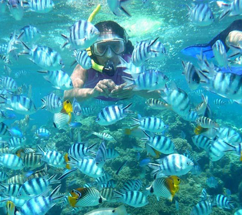 Open Trip Pulau Pramuka 2D1N