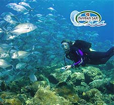  Pandan Sari Dive & Watersport