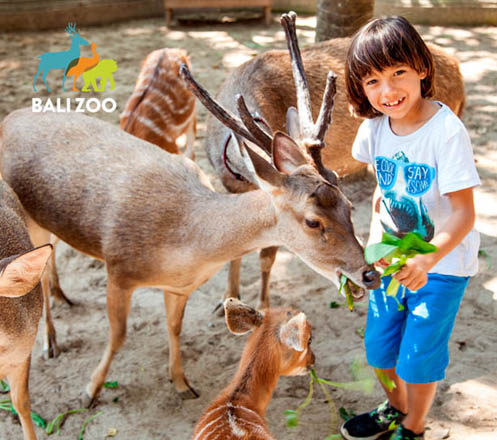Admission for Bali Zoo