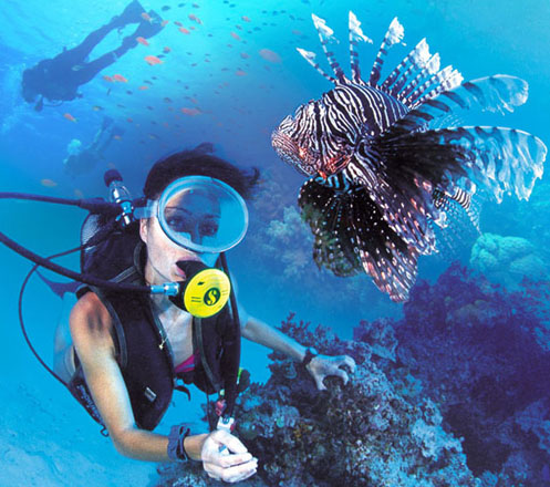 Diving Nusa Dua Bali