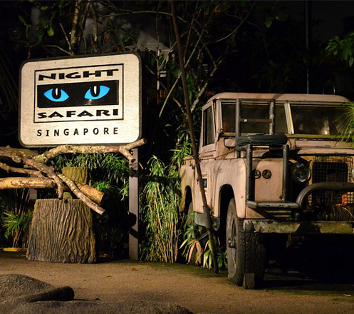 Night Safari Singapore + Tram