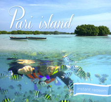  2D1N Tour to Pari Island
