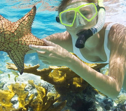 Snorkeling at Bali
