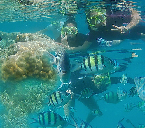 Open Trip Harapan Island 2D1N