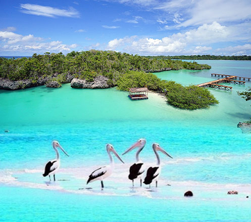 4D3N Kepulauan Kei Maluku
