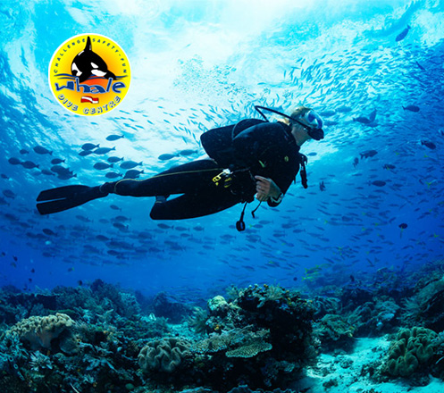Open Water Scuba Diver Course