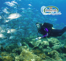 Pandan Sari Dive & Watersport