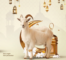  Voucher Value Hewan Qurban Kambing Rp100.000